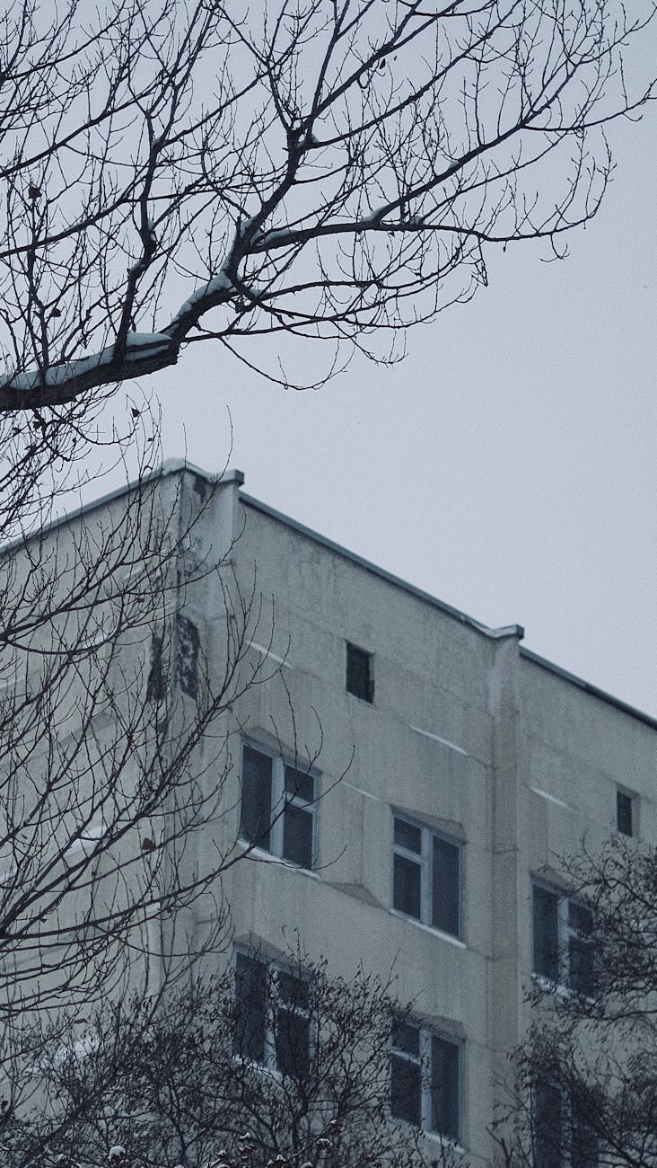 2-комн. квартира, 77 м²